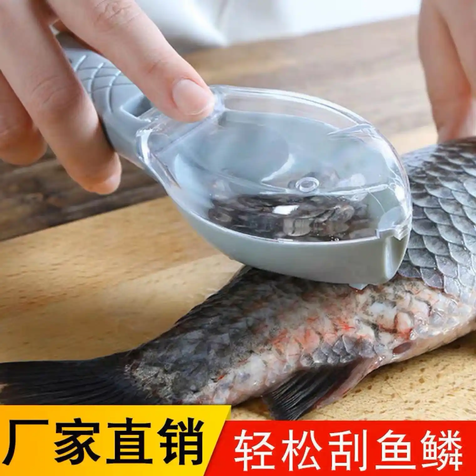 Fish Scale Remover